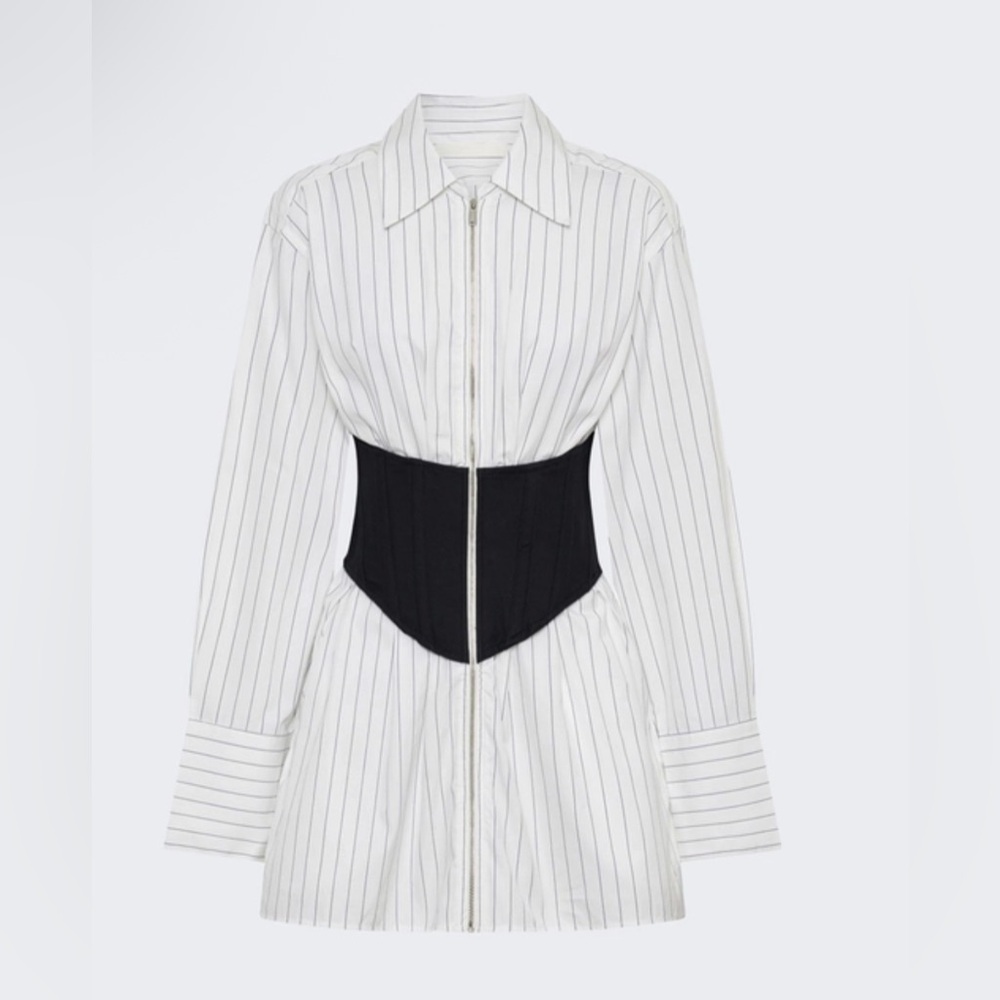 Dion Lee Internal Shirt Corset dress NWOT - Picture 6 of 6